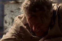 Image from: Locusts (2005)