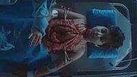 Image from: Chimera (2018)