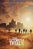 Maze Runner: The Scorch Trials (2015) Poster