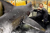 Image from: Sharknado 4: The 4th Awakens (2016)