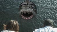 Image from: Zombie Shark (2015)