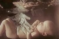 Image from: Comedie Fantastica (1975)