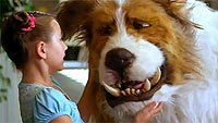 Image from: Monster Mutt (2011)