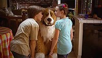 Image from: Monster Mutt (2011)