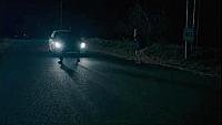 Image from: Ratpocalypse (2015)