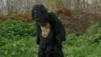 Image from: Bigfoot Vs. Zombies (2016)