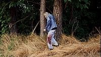 Image from: Attack of the Southern Fried Zombies (2017)