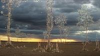 Image from: Annihilation (2018)