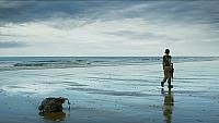 Image from: Annihilation (2018)