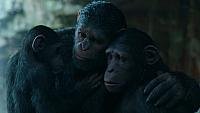 Image from: War for the Planet of the Apes (2017)