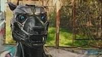 Image from: A-X-L (2018)