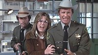 Image from: Sssssss (1973)