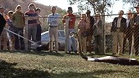 Image from: Sssssss (1973)