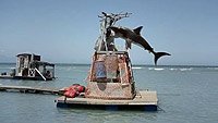 Image from: Planet of the Sharks (2016)
