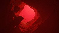 Image from: Tenemos la Carne (2016)