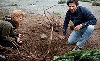 Image from: 12 Disasters of Christmas (2012)