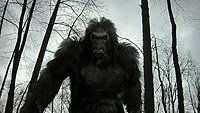 Image from: Bigfoot (2012)