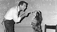 Image from: Absent Minded Professor, The (1961)