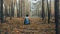 Image from: Involution (2018)