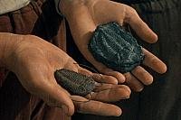 Image from: Cesta do Praveku (1955)