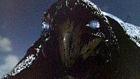 Image from: Bermuda Depths, The (1978)