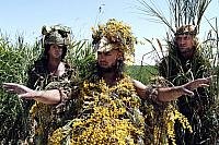 Image from: RRRrrrr!!! (2004)