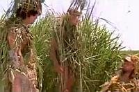 Image from: RRRrrrr!!! (2004)