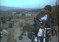 Image from: Chopper Chicks in Zombietown (1989)