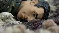 Image from: Mushino (2017)