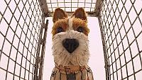 Image from: Isle of Dogs (2018)