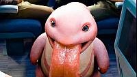 Image from: Pokémon Detective Pikachu (2019)
