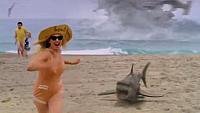 Image from: The Last Sharknado: It