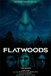 Flatwoods (2018) Poster